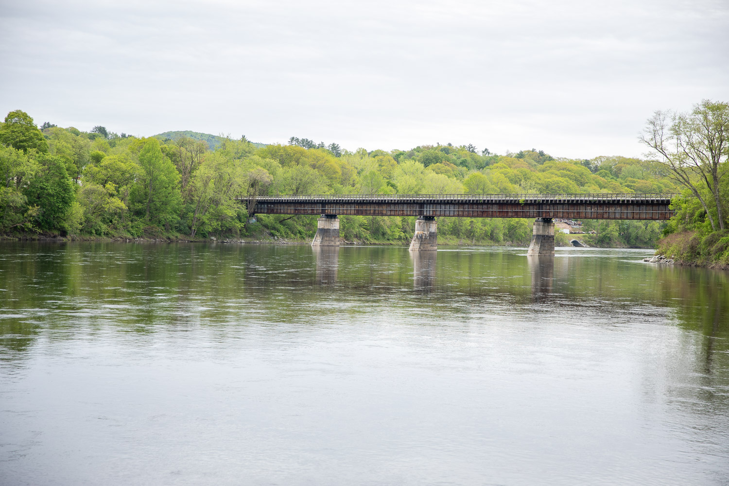 005A7547 A wide river flows calmly beneath an old railroad bridge supported by concrete piers. The bridge is surrounded by lush green trees, with a forested hill rising in the background under an overcast sky.