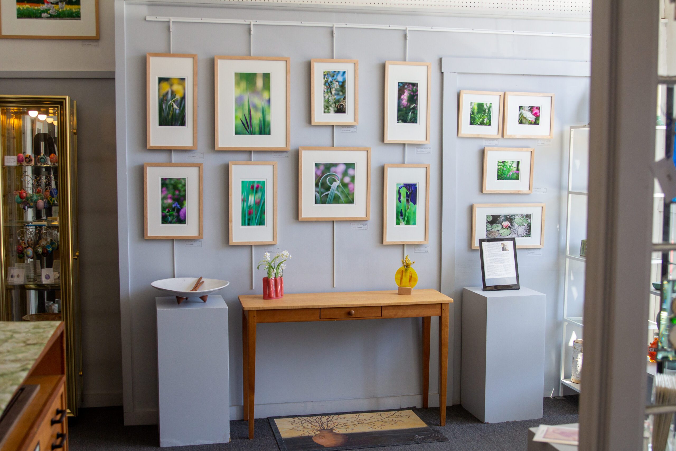 LRG_8588-2 - Rachel Obbard(1) A grey wall displaying about a dozen framed photographs of flowers and plants.