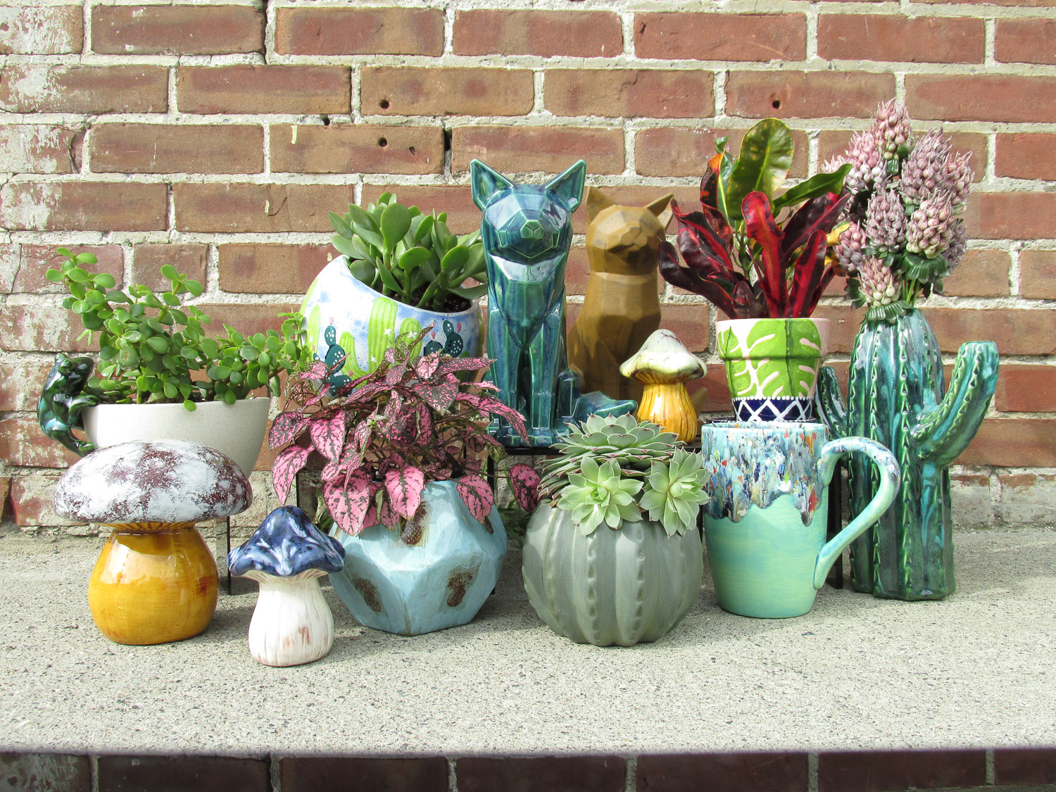 pottery and plants outside 5 - Tyler Ring (Tip Top Pottery) about a dozen colorful ceramic pots and mugs arranged in front of a brick wall. Some of the pots have house plants growing in them.